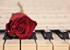 Rose on Piano 