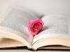 Rose in a Book