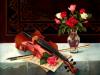 Violin And Roses