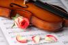 Roses and Violin