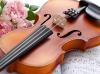 Violin with flowers