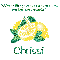 Make Lemonade - Chrissi