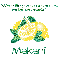 Make Lemonade - Makani