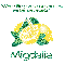 Make Lemonade - Migdalia