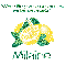 Make Lemonade - Milaine