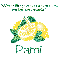 Make Lemonade - Pami