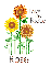 Love, Joy, Peace - Rose