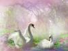 Fantasy Swans