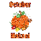 October Pumpkin - Makani