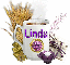Purple Tea - Linda