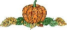 Pumpkin & leaves - div - aut - fg