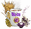 Purple Coffee - Milaine