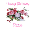 Roses for Rose's birthday - Happy Birthday, Rose