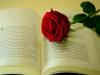 Book and Rose