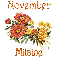 November Mums - Milaine
