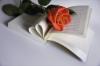Book of Rose