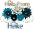 Pretty Blue Flowers - Heike