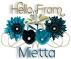 Pretty Blue Flowers - Mietta