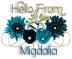 Pretty Blue Flowers - Migdalia