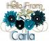Pretty Blue Flowers - Carla