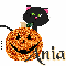 Ania - Pumpkin - Cat