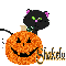 Shakela - Cat - Pumpkin
