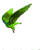 Fantasy Bird