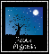 Night Sky - Peace - Migdalia