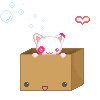 kitty n box
