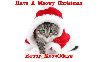 Have A Meowy Christmas/ Happy Meowlidays
