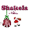 Shakela - I Believe - Ornament