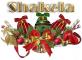 Christmas arrangement - Shakela