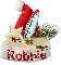 Summer Christmas Hat - Robbie