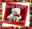 bear hugs-from owen