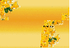 Daffodills - background