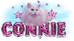 Connie-Cute pink Cat