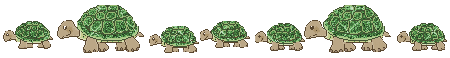 Turtle divider - div