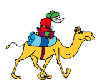 man riding camel