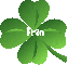 Four Leaf Clover- Fran