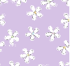 Purple flowers - background