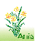 March Birth Flower (Daffodil) for Ania