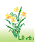March Birth Flower (Daffodil) for Linda