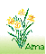 March Birth Flower (Daffodil) for Alma
