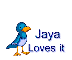Jaya loves it