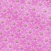 PINK FLOWERS  BACKGROUND