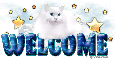 Welcome-Cat's Heaven