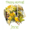 Spring visitors - Jane