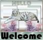 Tiger welcome hello