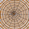 Background - Spider Web