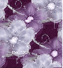 Purple Flowers - background